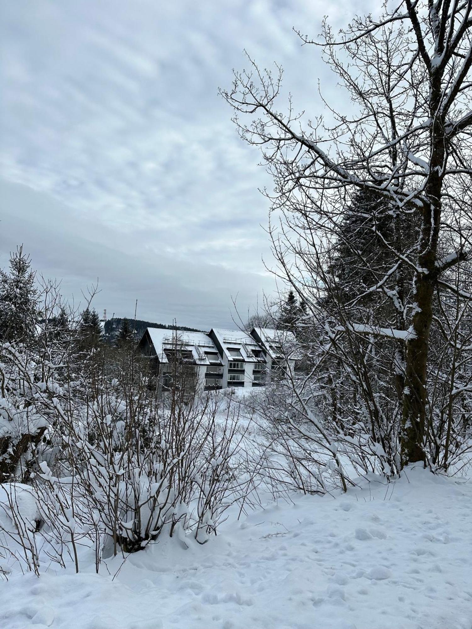 Ferienwohnung Waldgaenger Hahnenklee Goslar Exterior foto